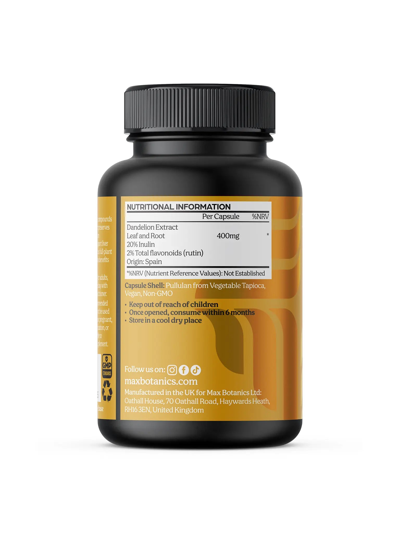 Dandelion Extract