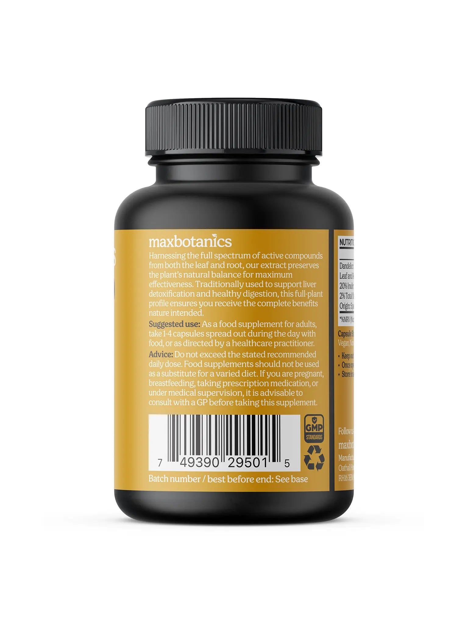 Dandelion Extract