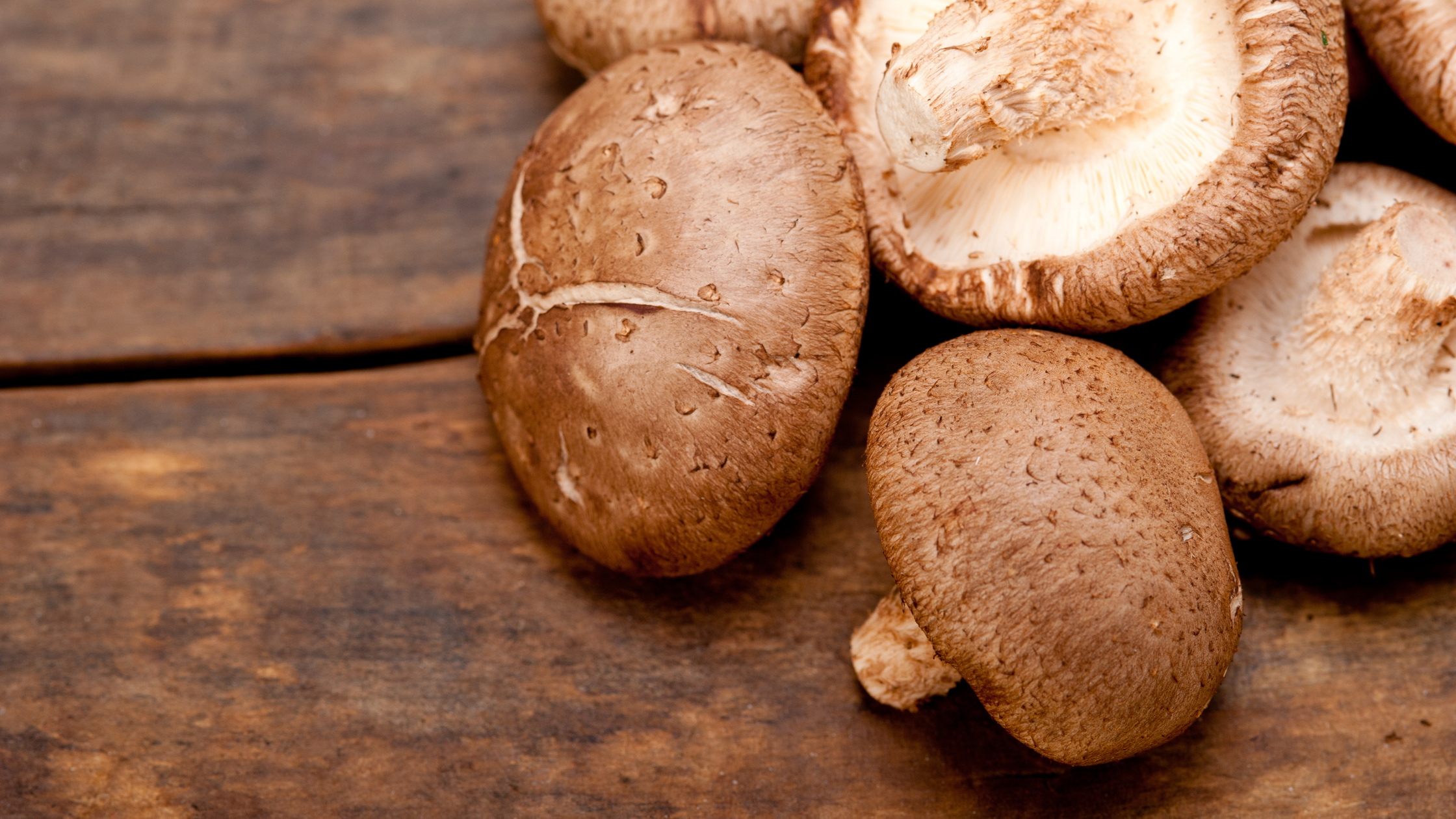 What is Active Hexose Correlated Compound?