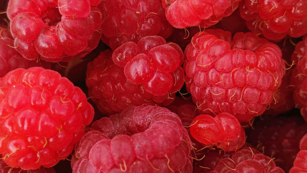 Unlock the Power of Resveratrol: The Ultimate Antioxidant