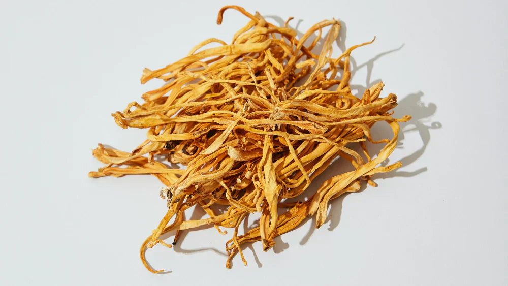 What Are Adaptogens & Why Do You Need Them