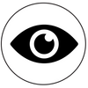 Vision 